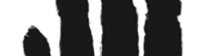 Beach Monkey.com Logo