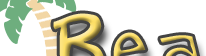 Beach Monkey.com Banner